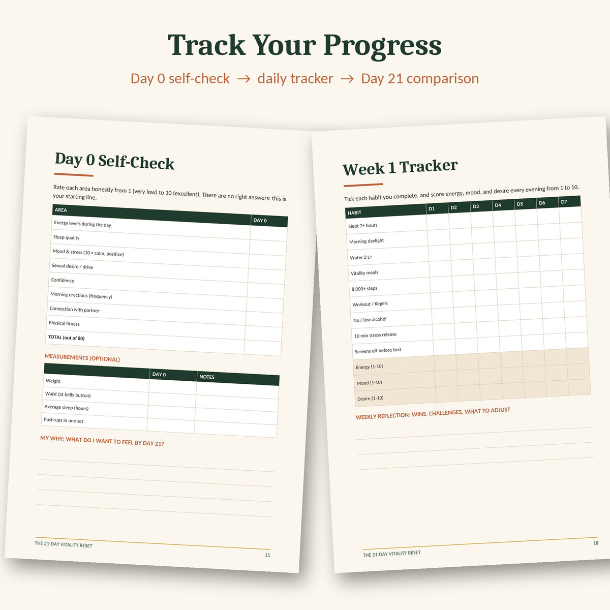 The 21-Day Vitality Reset: Men's Energy, Drive & Confidence Program